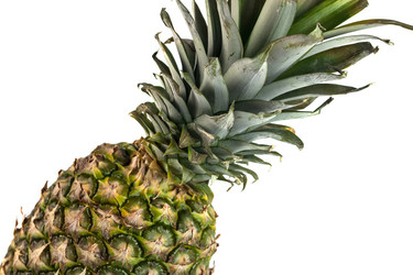 Similar image 20266714