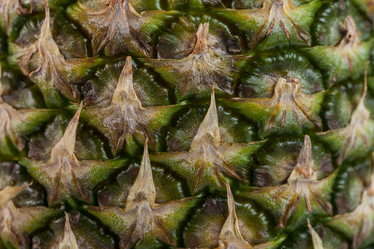 Similar image 20266732