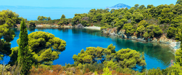 Similar image 20232395