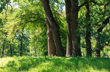 Similar image 20232396