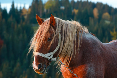 Similar image 20232440