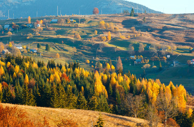 Similar image 20233004