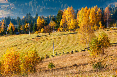 Similar image 20233012