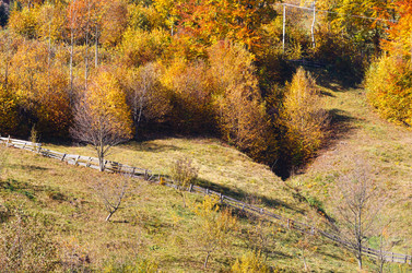 Similar image 20233050