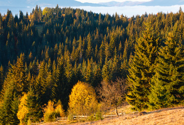 Similar image 20233046