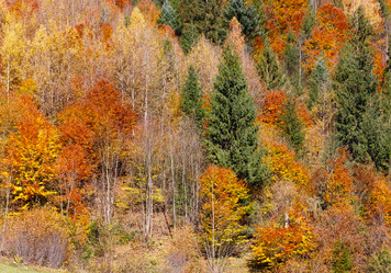 Similar image 20232981