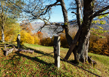 Similar image 20233055