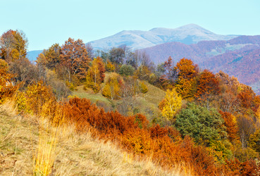 Similar image 20233061