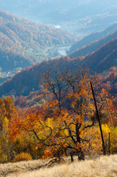 Similar image 20233070