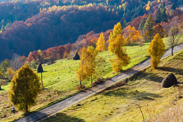 Similar image 20233106