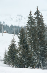 Similar image 20233105