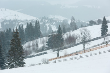 Similar image 20233122