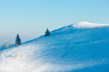 Similar image 20232376