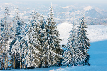 Similar image 20232387