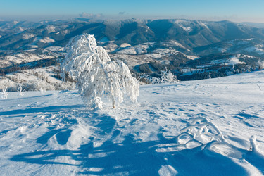 Similar image 20232390