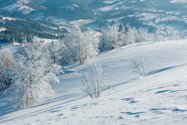 Similar image 20232401