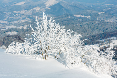 Similar image 20232402