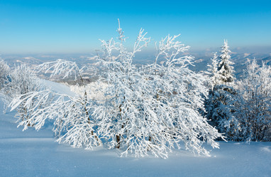 Similar image 20232403