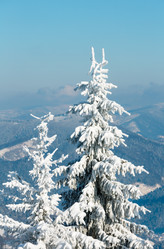 Similar image 20232407