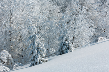 Similar image 20232431