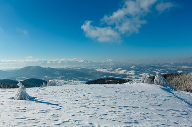 Similar image 20232432