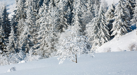 Similar image 20232445