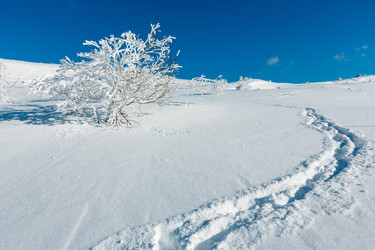 Similar image 20232934