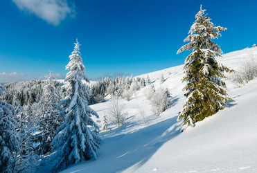 Similar image 20232950