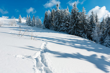 Similar image 20232976