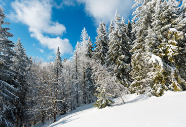 Similar image 20232992