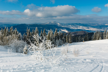 Similar image 20232955