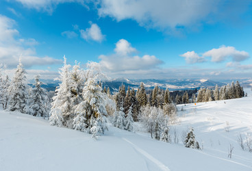 Similar image 20232957