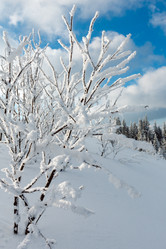 Similar image 20232960