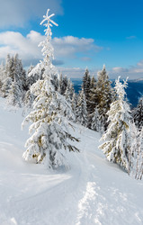 Similar image 20232965