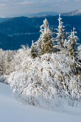 Similar image 20232994