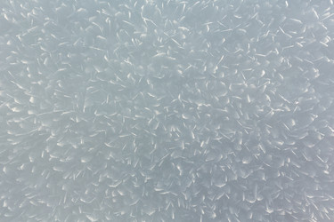 Similar image 20232982