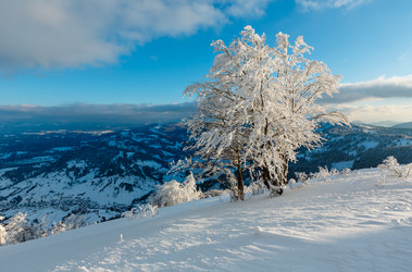 Similar image 20233032