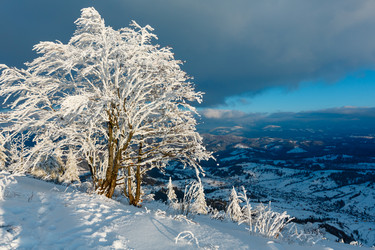 Similar image 20233035