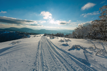 Similar image 20233040