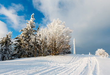 Similar image 20233049