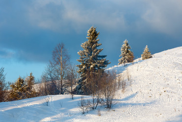 Similar image 20233079