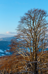 Similar image 20233094