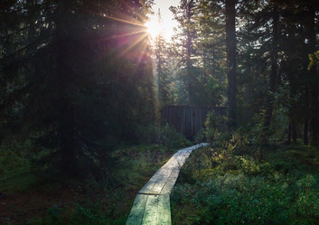 Similar image 20227112