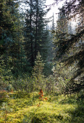 Similar image 20227153