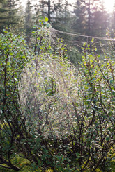 Similar image 20227159