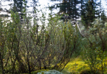 Similar image 20227168