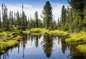 Similar image 20227146