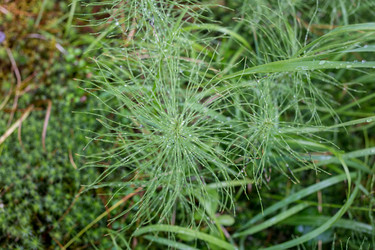 Similar image 20227284