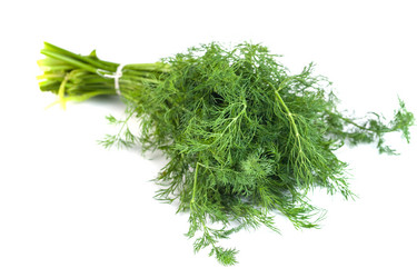 Similar image 20266934