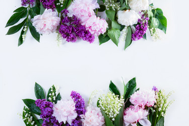 Similar image 20298500